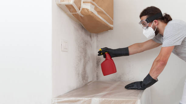 Professional Bathroom Mold Removal technician working in Dumfries, VA