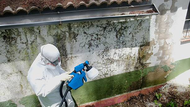 Top rated local Bathroom Mold Removal specialists in Dumfries, VA
